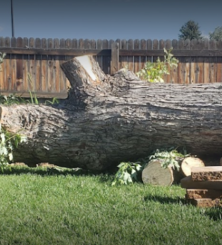 Bear Creek Tree Service