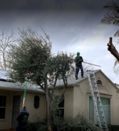 California Green Tree Care