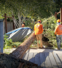 Terry’s Tree Service