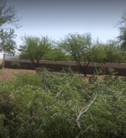 Mariposa Landscape Arizona, Inc.