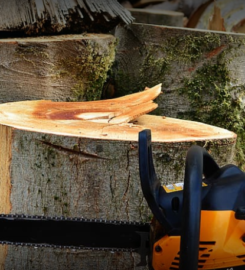 Jason’s Tree Service