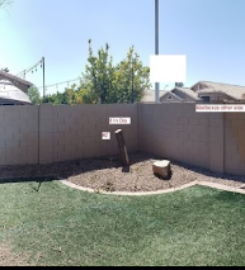 Arbor Care Tree Service