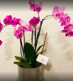 Floral Fate Design Co.