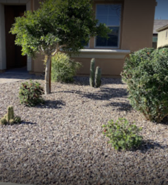 Amador’s landscaping services